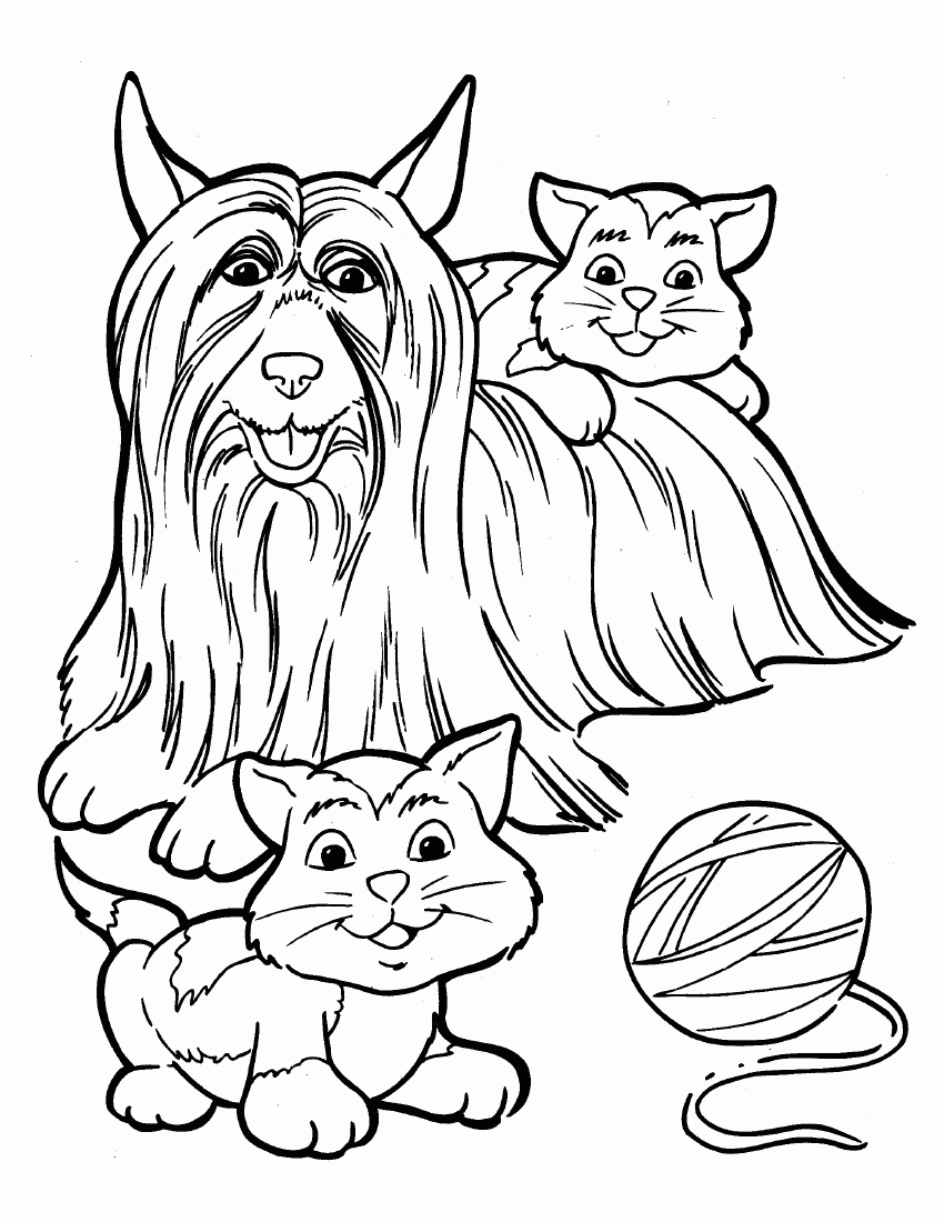 Kolorowanka Zwierzęta w Zabawie - Pobierz i Drukuj kolorowanka do druku